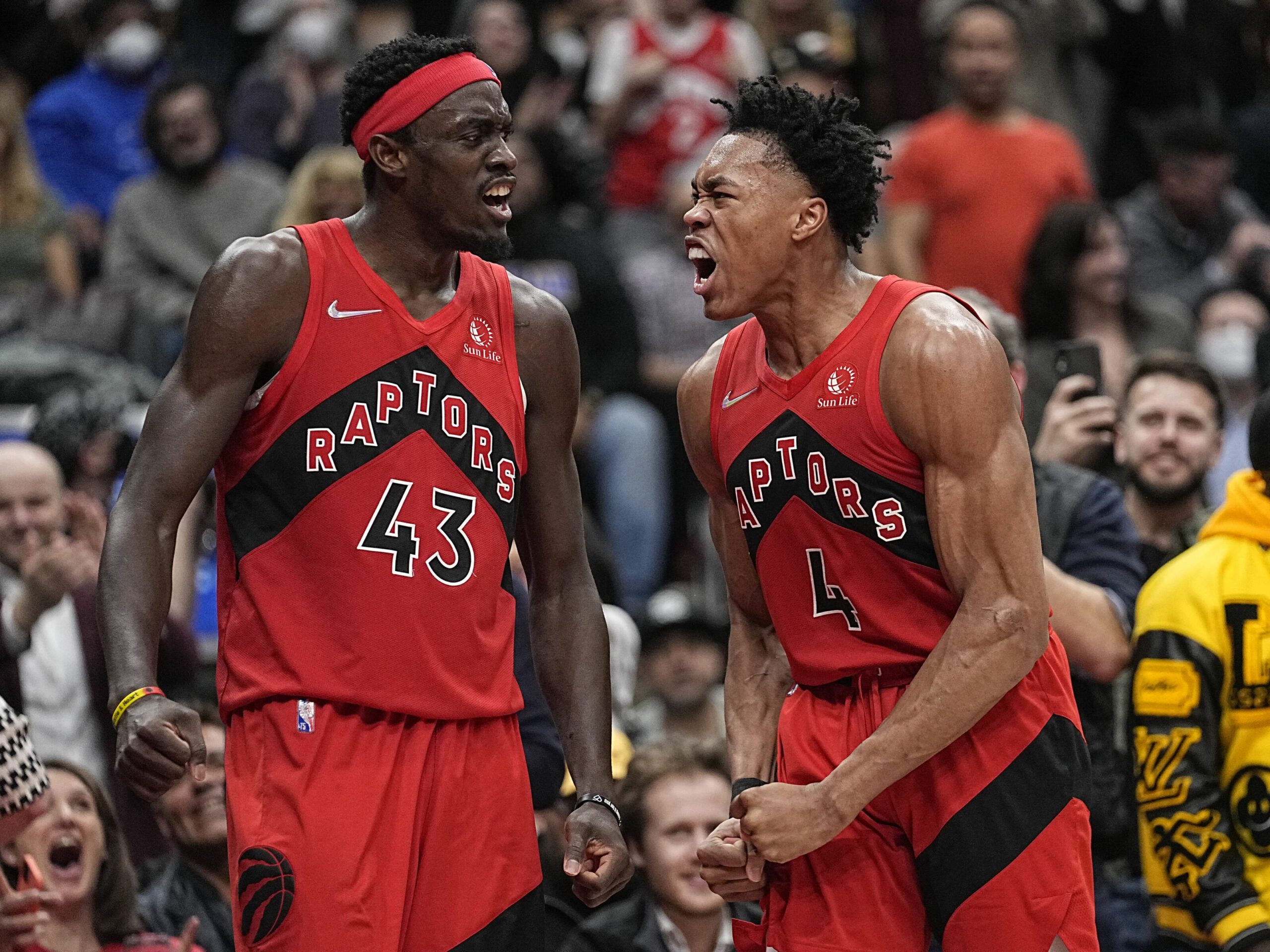 Previa NBA 2023 24 Toronto Raptors Piratasdelbasket