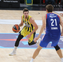 Nando de Colo, un mes de baja