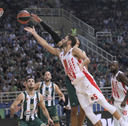 Panathinaikos vence al Estrella Roja a ritmo de Calathes (87-82)