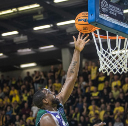 El Le Mans Sarthe Basket abre la BCL en el Carpena