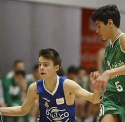 Minicopa Endesa: Delteco y UCAM Murcia se llevan las primeras victorias