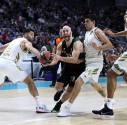 Nick Calathes, dos años al Barcelona?
