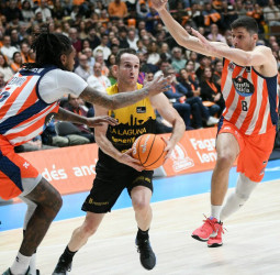 El rebote dicta la sentencia del Leyma Coruña ante el Tenerife, 62-87