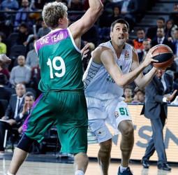 El agente de Milko Bjelica niega el acuerdo con el Estrella Roja