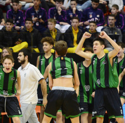 Toda la Minicopa Endesa se podrá ver en directo