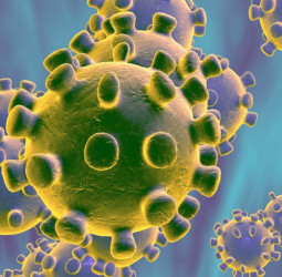 El coronavirus ya afecta al baloncesto