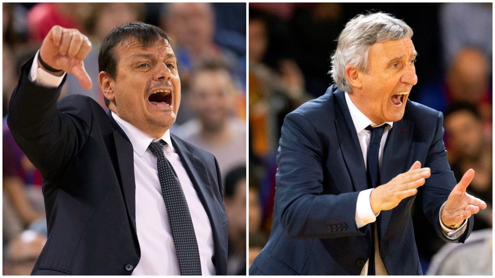 Pesic habla claro antes del quinto partido ante el Anadolu Efes