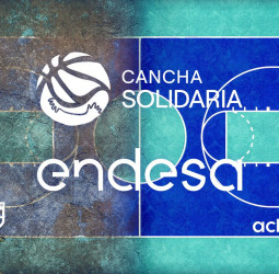 Endesa lanza 'Cancha Solidaria Endesa'