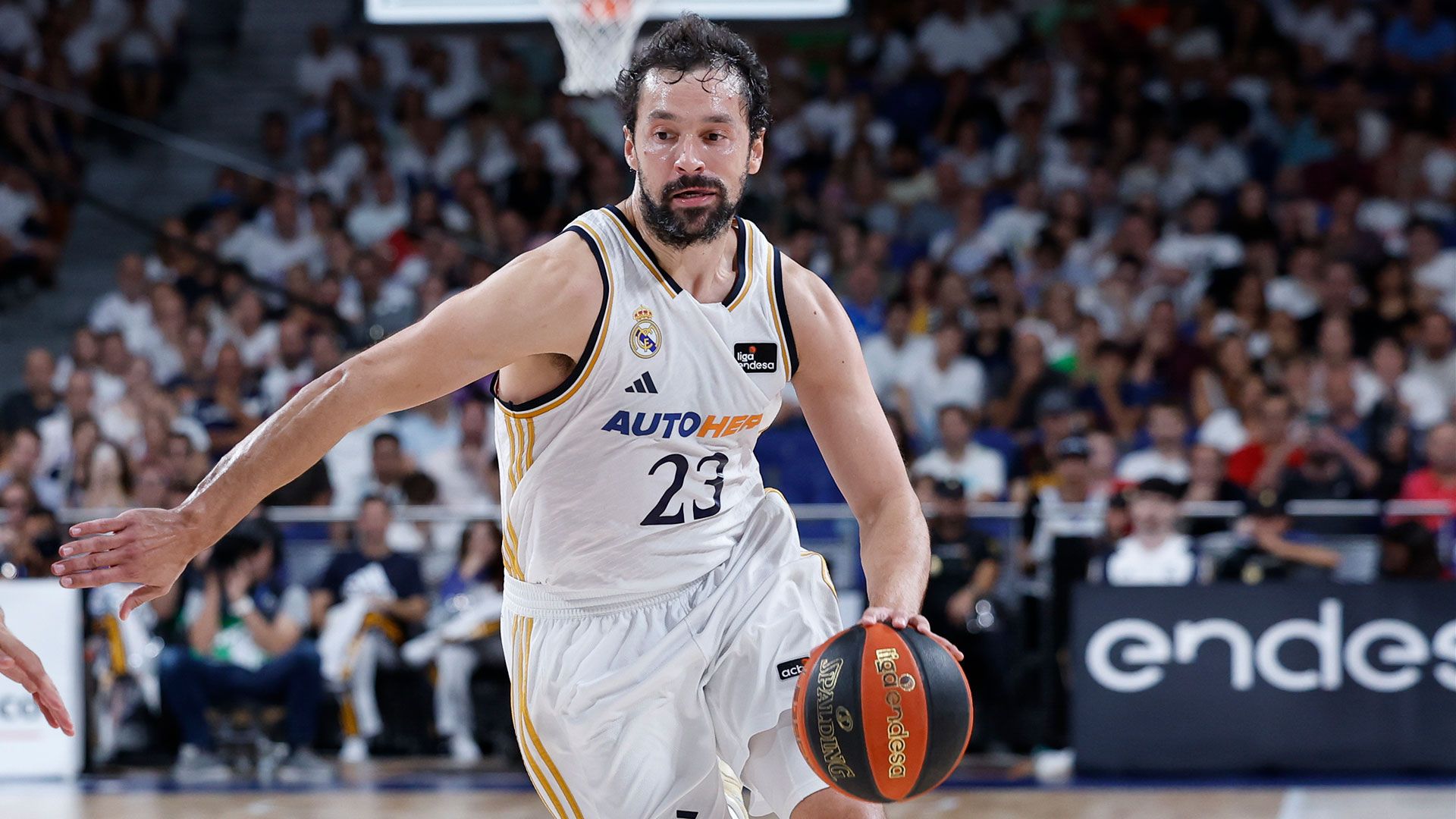 El Real Madrid se mide el domingo al Zunder Palencia