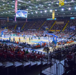 Betis Energía Plus: habrá finalmente baloncesto en Sevilla