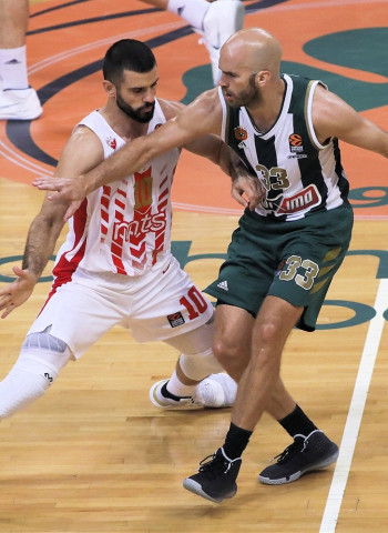 Previa EuroLeague Jornada 23: Estrella Roja vs Panathinaikos