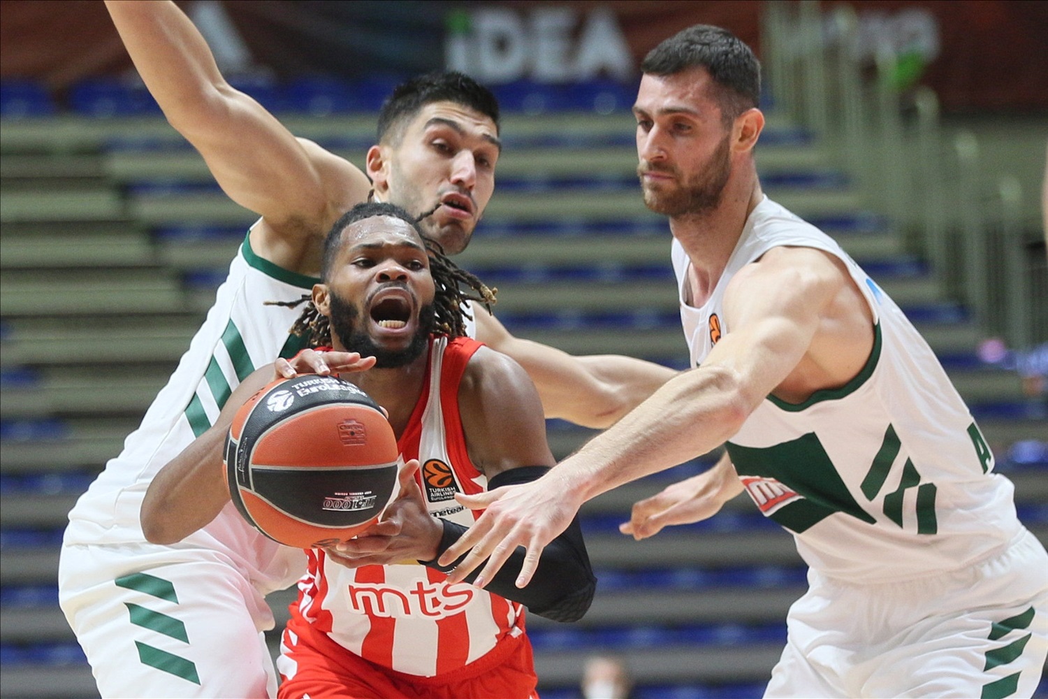 Previa Jornada 30 EuroLeague: Panathinaikos vs Estrella Roja