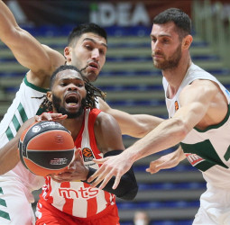Previa Jornada 30 EuroLeague: Panathinaikos vs Estrella Roja