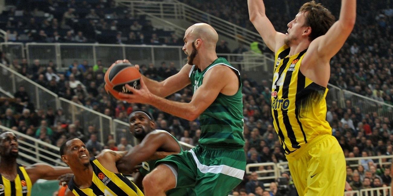Jornada 18 EuroLiga: Previa Fenerbahce vs Panathinaikos