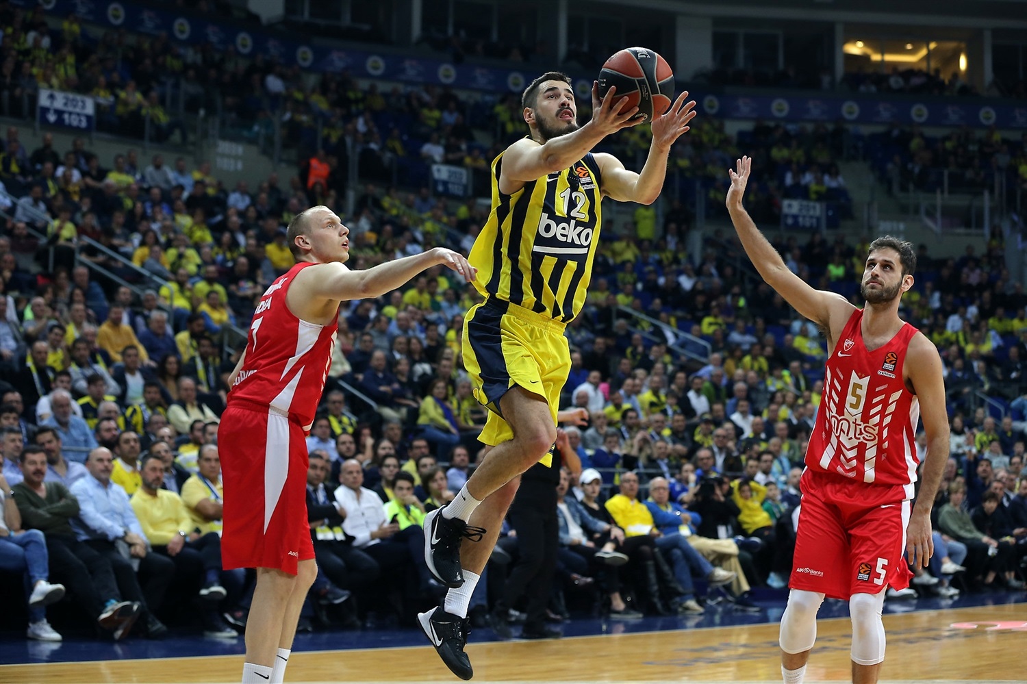El Fenerbahce supera a un correoso Estrella Roja (66-63)