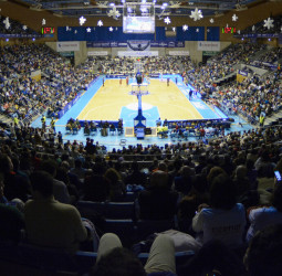 Resumen de la jornada 14º de la liga Endesa