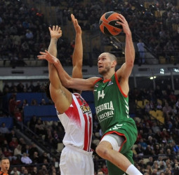 Olympiacos y Anadolu Efes, detrás de Kim Tillie