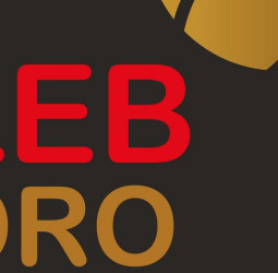 La FEB y los clubes de LEB Oro acuerdan que no haya descensos esta temporada y avanzan en la fórmula para definir los dos ascensos previstos