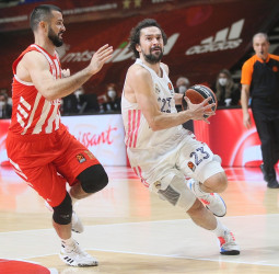 Previa Jornada 19 EuroLeague: Estrella Roja vs Real Madrid