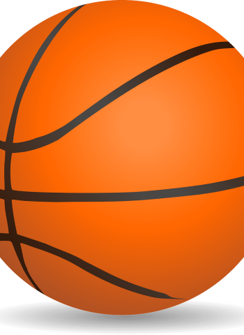 La Liga Endesa ha echado a rodar y los aficionados ya hacen sus cuentas y sus apuesta sobre quién será el que levante el trofeo de campeón en esta campaña 2016/2017