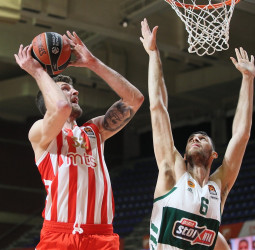 El Estrella Roja aguanta las embestidas finales del Panathinaikos (74-71)