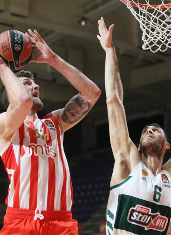 El Estrella Roja aguanta las embestidas finales del Panathinaikos (74-71)
