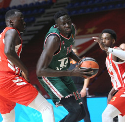 Previa Jornada 26 EuroLeague: Baskonia vs Estrella Roja