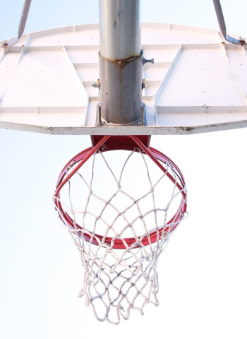 Los mejores jugadores de baloncesto asiáticos de la historia