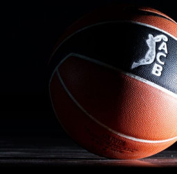 La Comisión Nacional de los Mercados y la Competencia sanciona a la ACB por el canon de ascenso