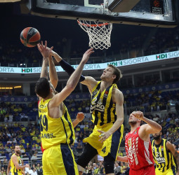 Jan Vesely apunta de nuevo a la NBA