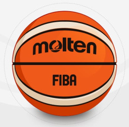Características de los Balones de Baloncesto