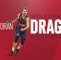 Zoran Dragic, experiencia para el perímetro azulgrana