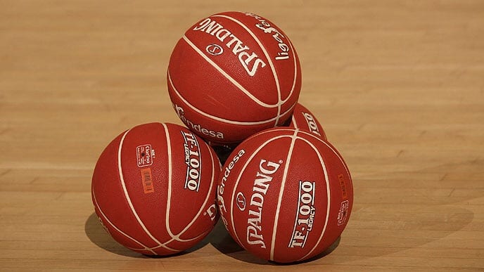 La liga Endesa será de 17 equipos
