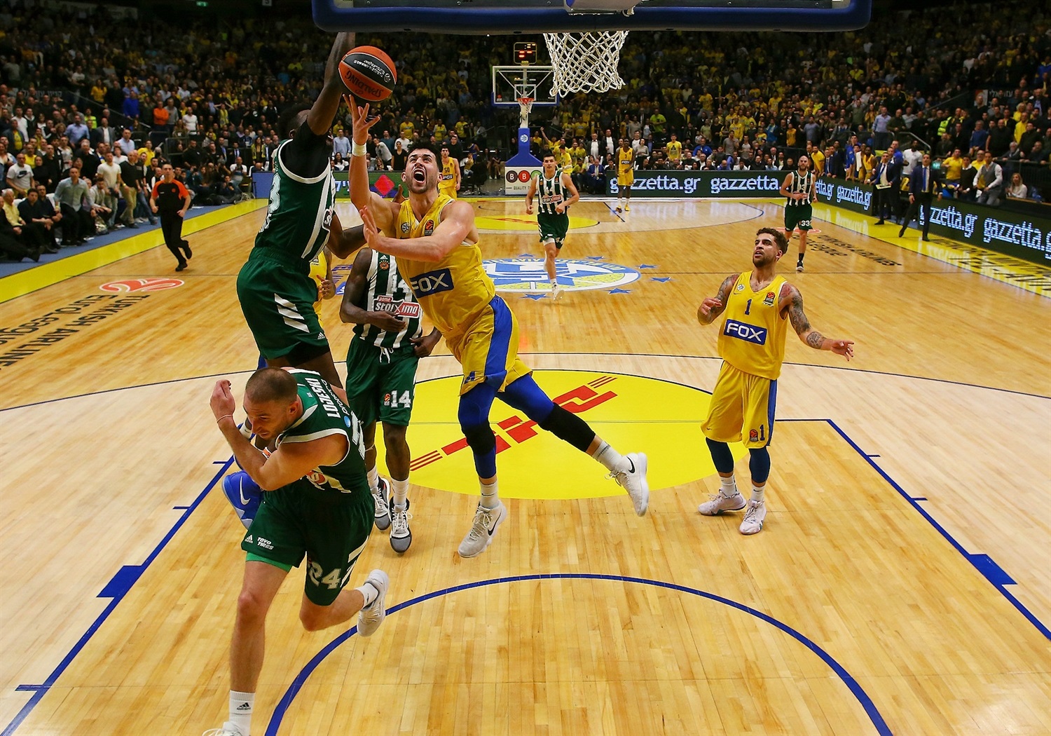 Previa Jornada 16 EuroLeague: Maccabi vs Panathinaikos