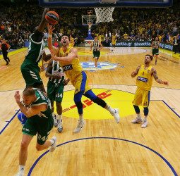 Previa Jornada 16 EuroLeague: Maccabi vs Panathinaikos