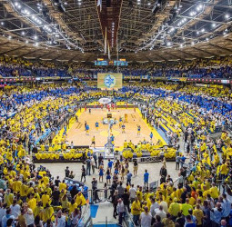 Maccabi anuncia su decisión de tener dos plantillas, una para la liga doméstica y otra para EuroLiga