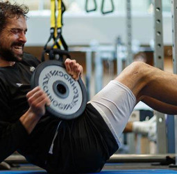 El regreso de Llull