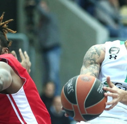 El Darussafaka Dogus sale del fondo de la tabla a costa del Cedevita (77-83)