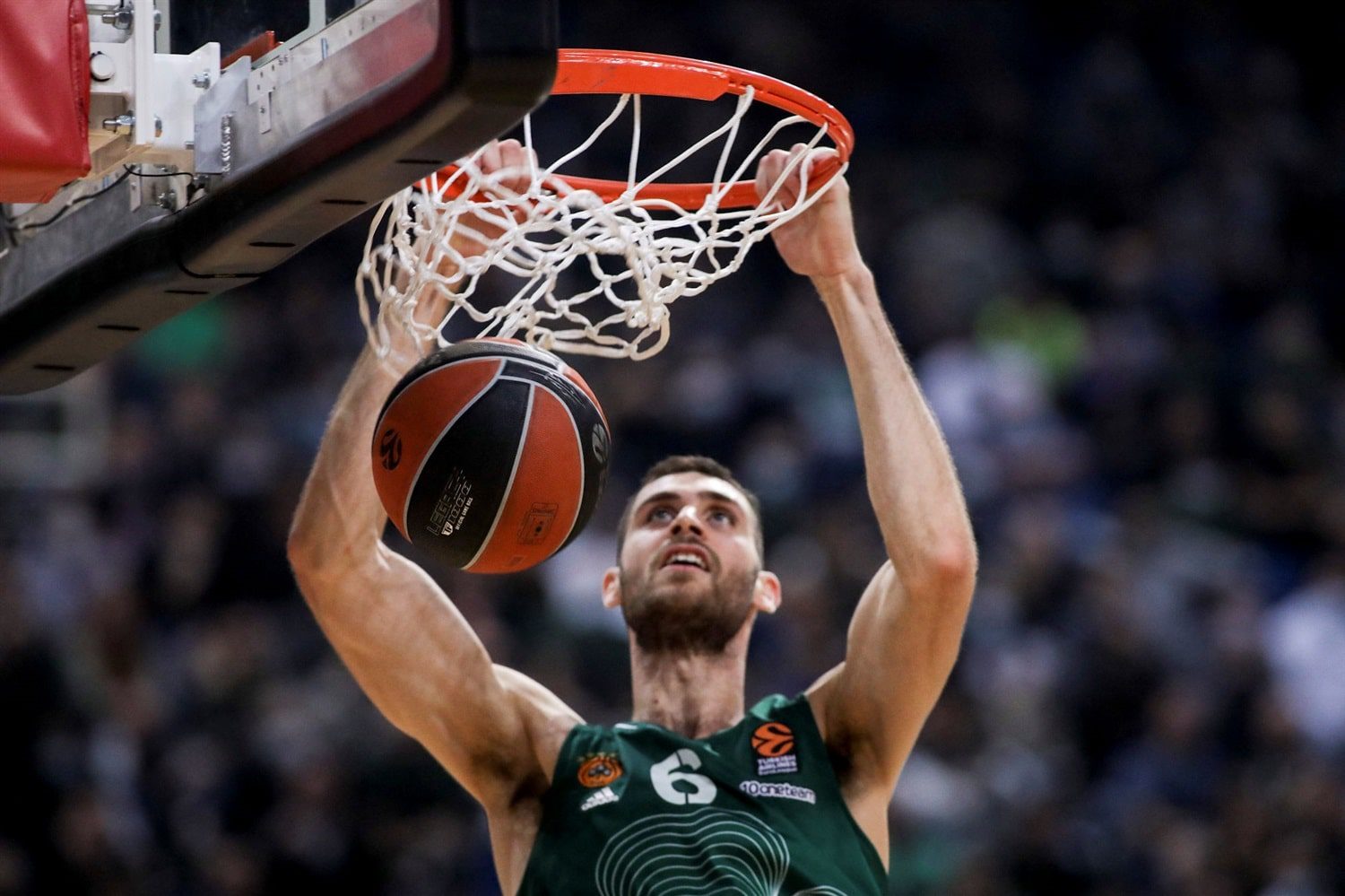 Papagiannis y Bitim, dos frentes abiertos para el Fenerbahce