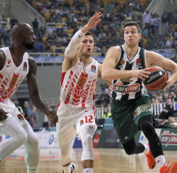 Previa Jornada 17 EuroLeague: Estrella Roja vs Panathinaikos