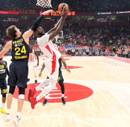 Previa EuroLeague Jornada 27: Fenerbahce vs Estrella Roja