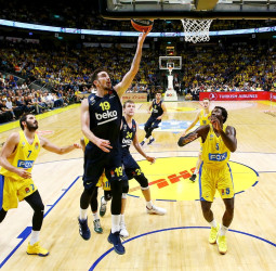 Previa EuroLeague Jornada 24: Fenerbahce vs Maccabi