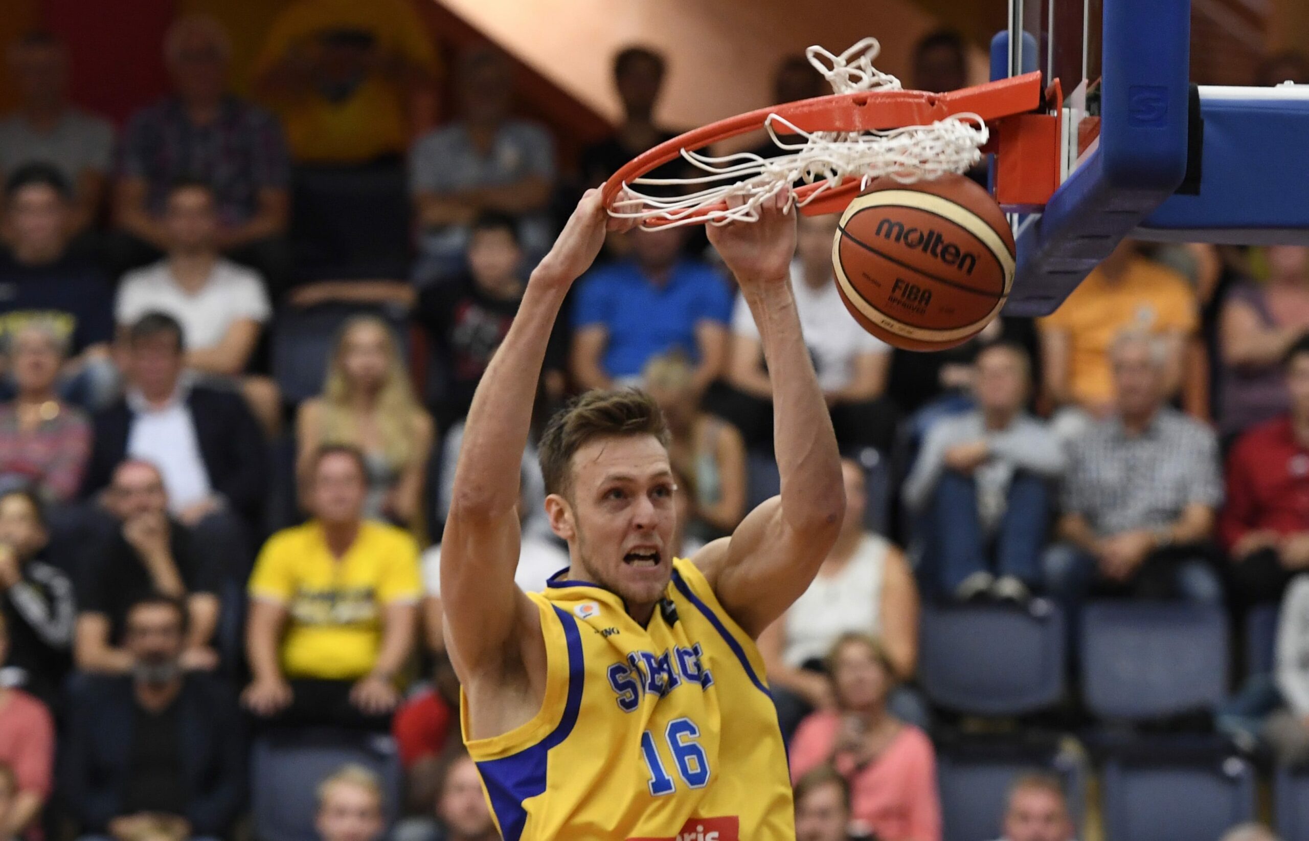 El Monbus Obradoiro ficha al pívot sueco Nicholas Spires