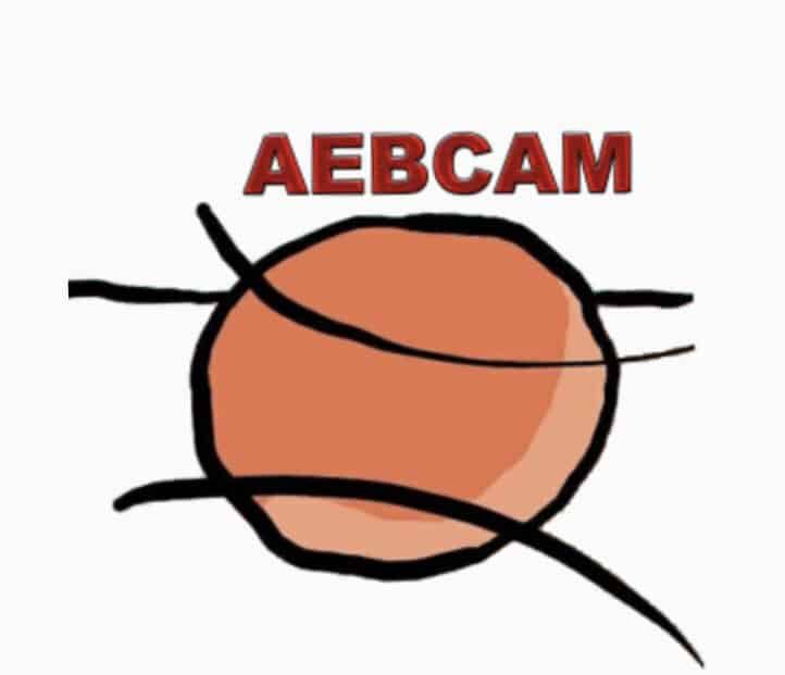 Nace la AEBCAM, la asociación de entrenadores de Madrid
