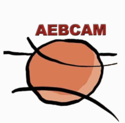 Nace la AEBCAM, la asociación de entrenadores de Madrid