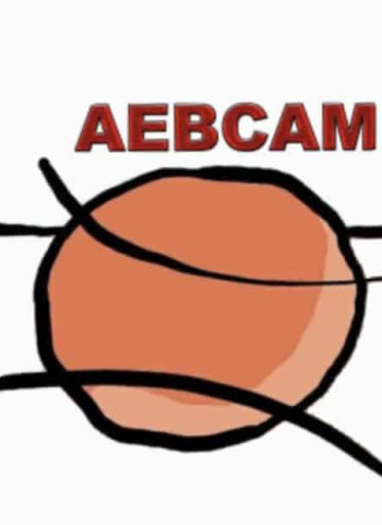 Nace la AEBCAM, la asociación de entrenadores de Madrid